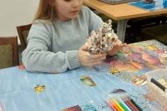 17d15b42-a4d6-448f-80fe-5a9d4b2eebf7