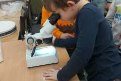 1db8a0c7-c17b-4b21-8ecc-9bf113ac216c