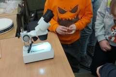 e1511c7e-3827-4690-86f8-827ad13998ae