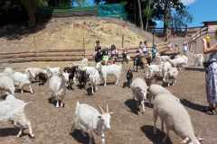 8adaa3b0-e010-49a2-ac3b-d4b949fd0366